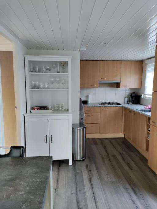 Chalet Midden In De Natuur! Anloo Eksteriør bilde